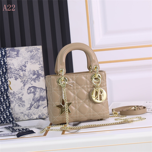 Dior Bags AAA 106